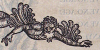 Elizabeth