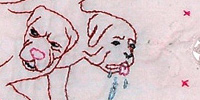 Cerberus