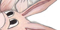 Aardvark